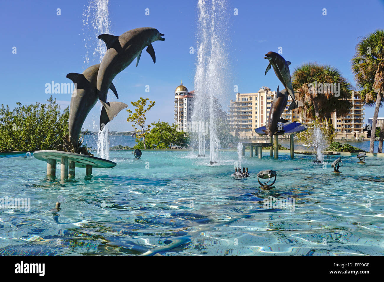 Dolphin Fountain on bayfront Island Park in Sarasota, Florida Stock ...