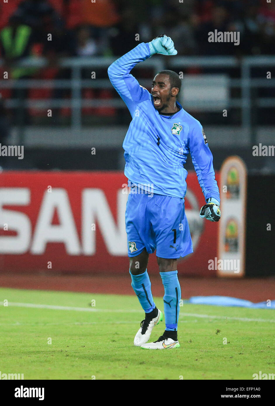 Bata, Equatorial Guinea. 8th Feb, 2015. Boubacar Barry, goalkeeper of Cote d'Ivoire, reacts during the penalty kicks of the final match of Africa Cup of Nations between Ghana and Cote d'Ivoire in Bata, Equatorial Guinea, Feb. 8, 2015. Cote d'Ivoire defeated Ghana by 9-8 after the extra time and penalty kicks and claimed the title. Credit:  Meng Chenguang/Xinhua/Alamy Live News Stock Photo