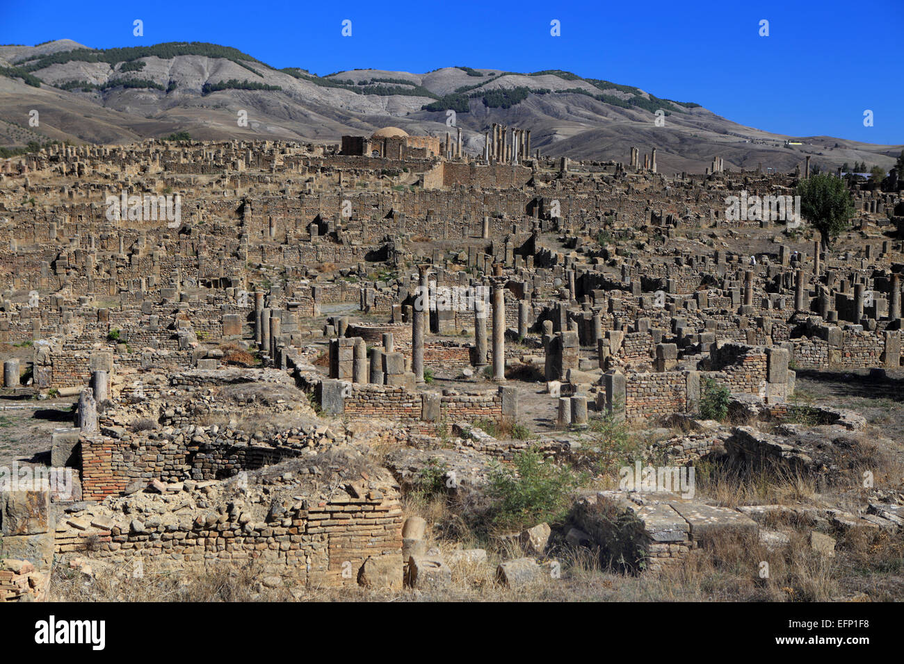 Ruins of ancient city Cuicul, Djemila, Setif Province, Algeria Stock Photo