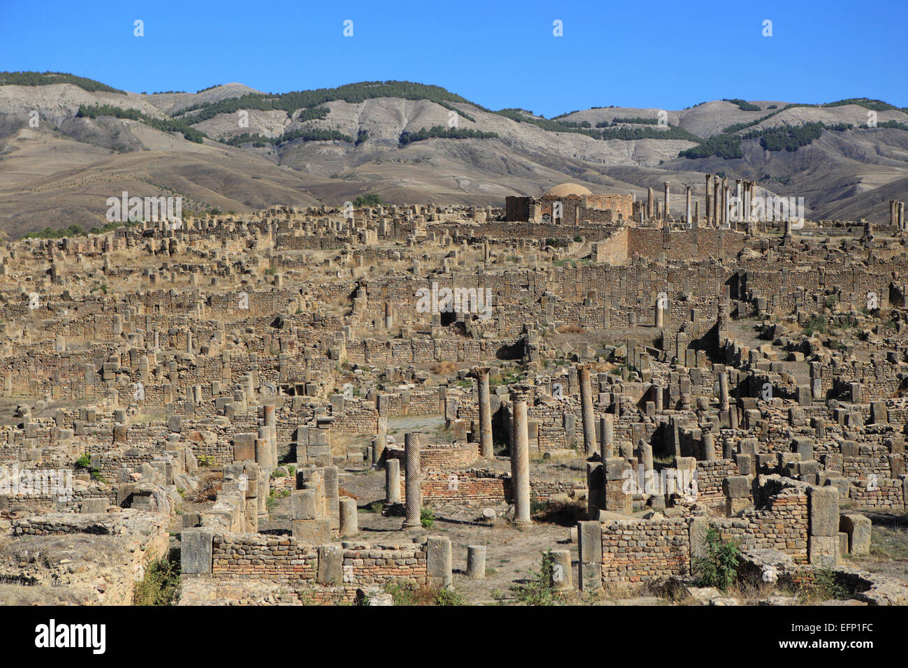 Ruins of ancient city Cuicul, Djemila, Setif Province, Algeria Stock Photo