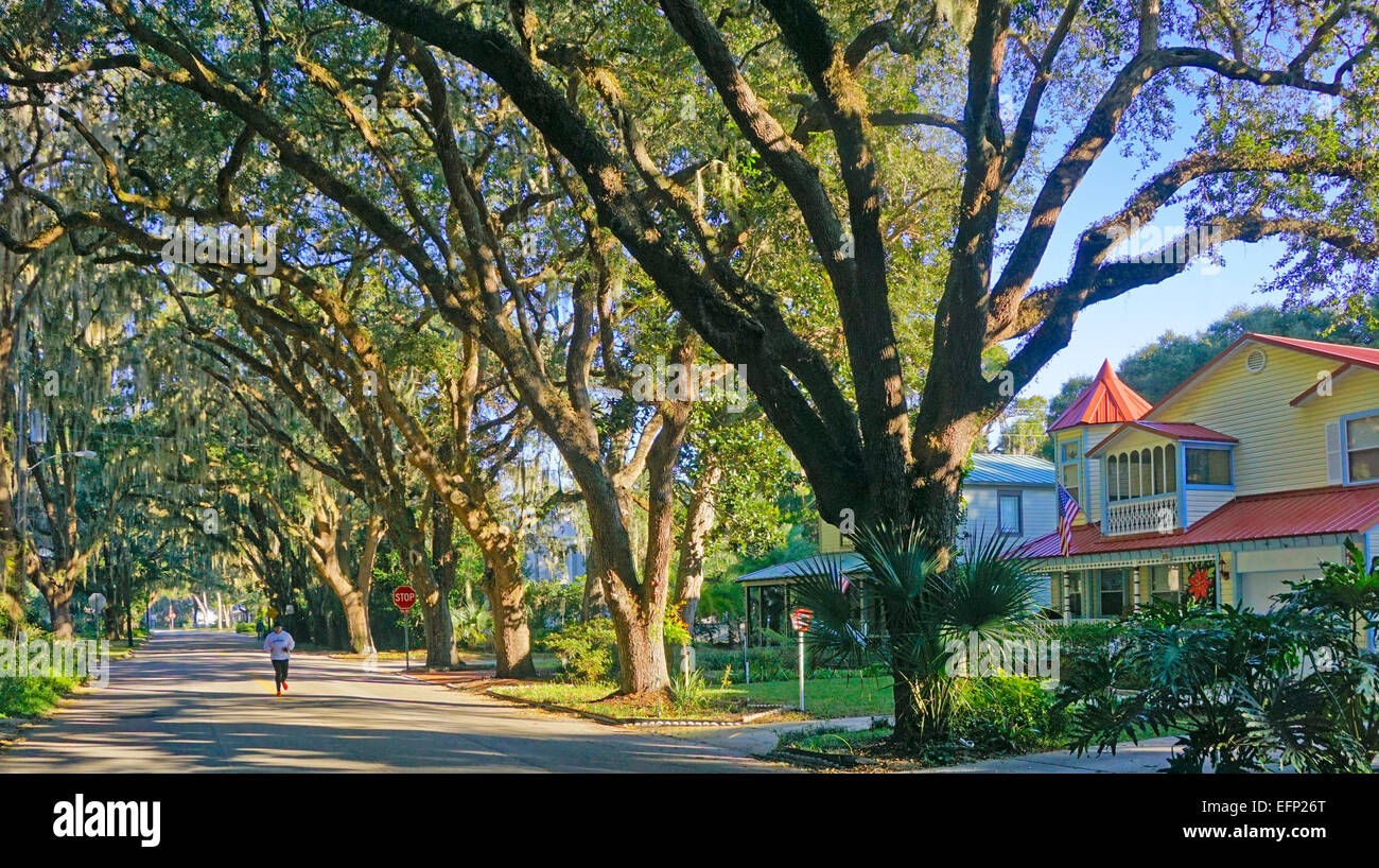 Oak tunnel st augustine hires stock photography and images Alamy