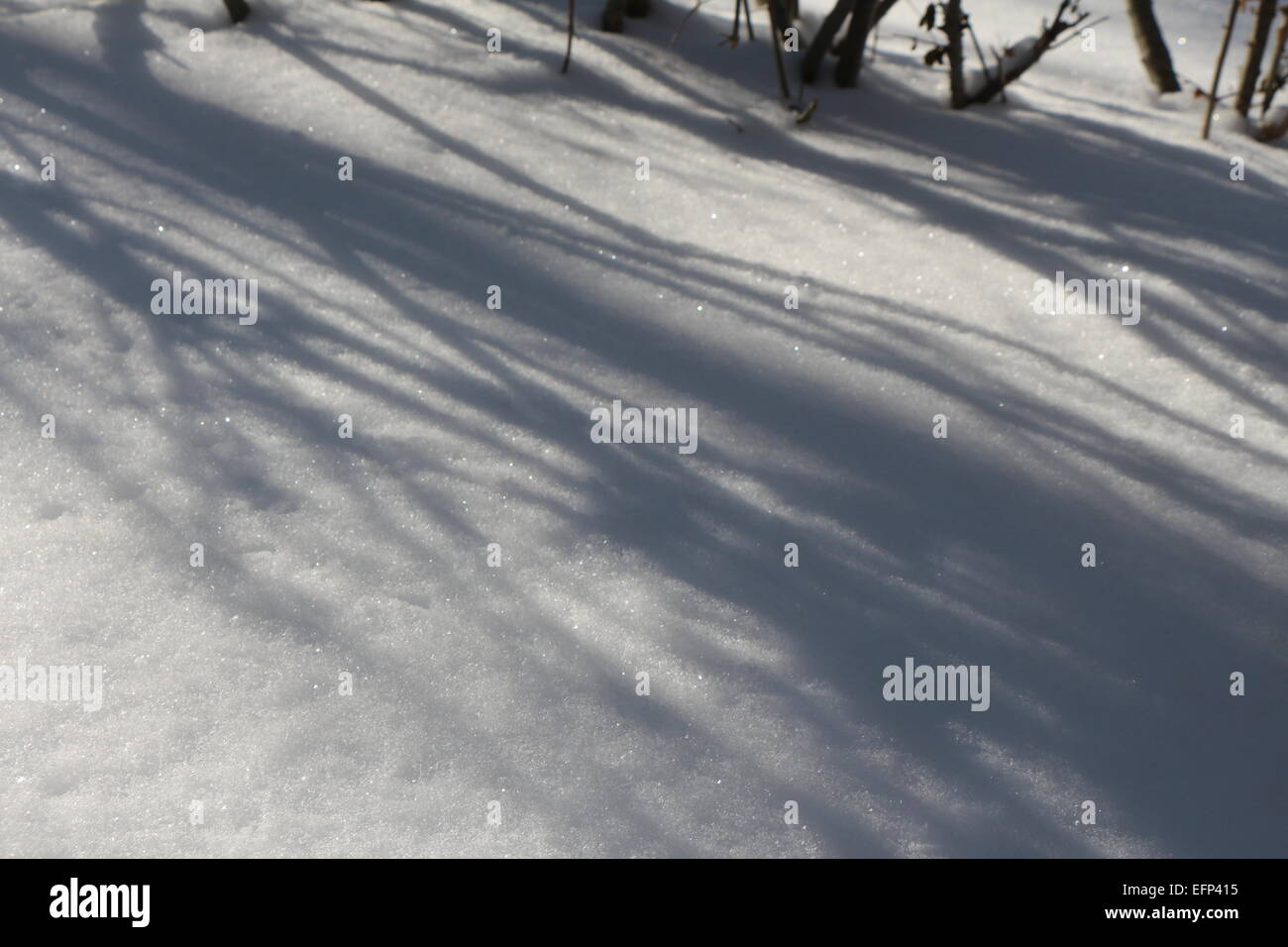 A SHADOW OF LIGHT CASTING ON THE SNOW.SHADOWS IN WINTER SNOW. Stock Photo