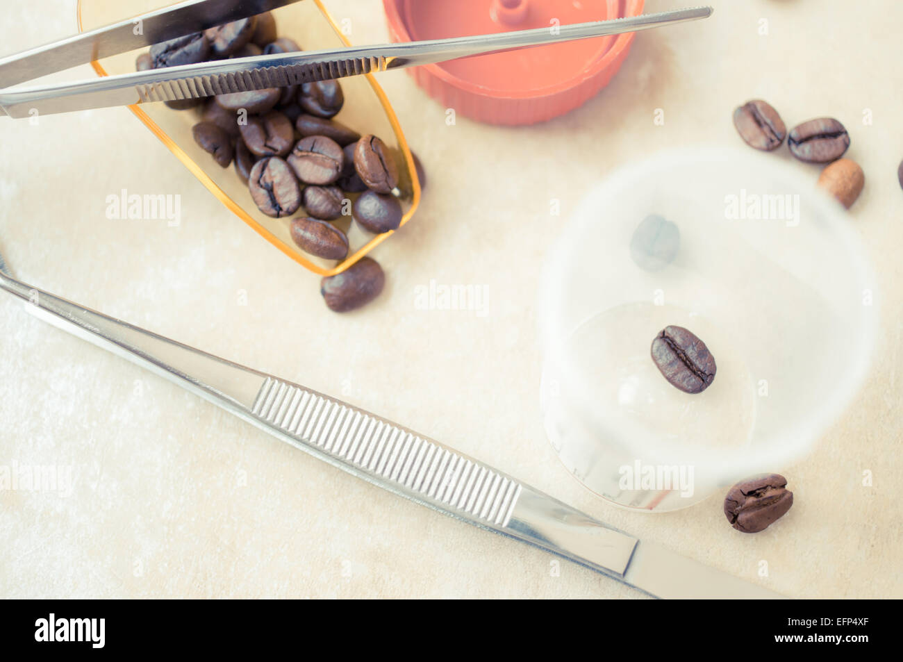 Laboratory examination of the coffee bean to meet quality standards