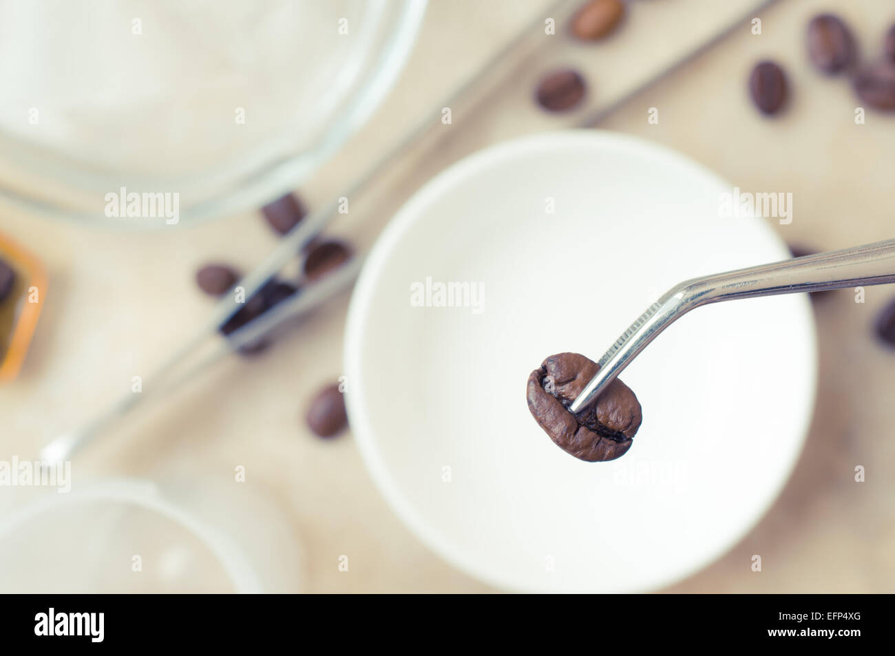 Laboratory examination of the coffee bean to meet quality standards