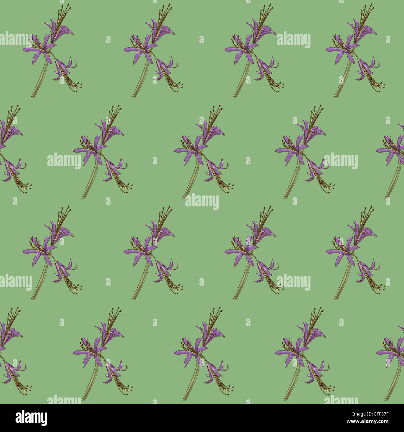Floral seamless background Stock Photo - Alamy