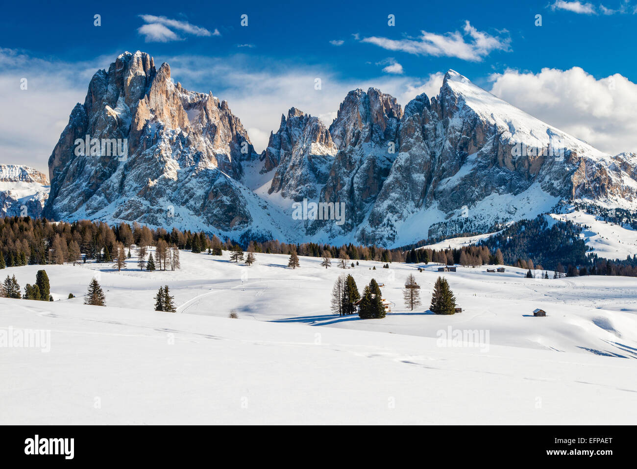 Scenic winter view of Seiser Alm Alpe di Siusi with Sassolungo ...