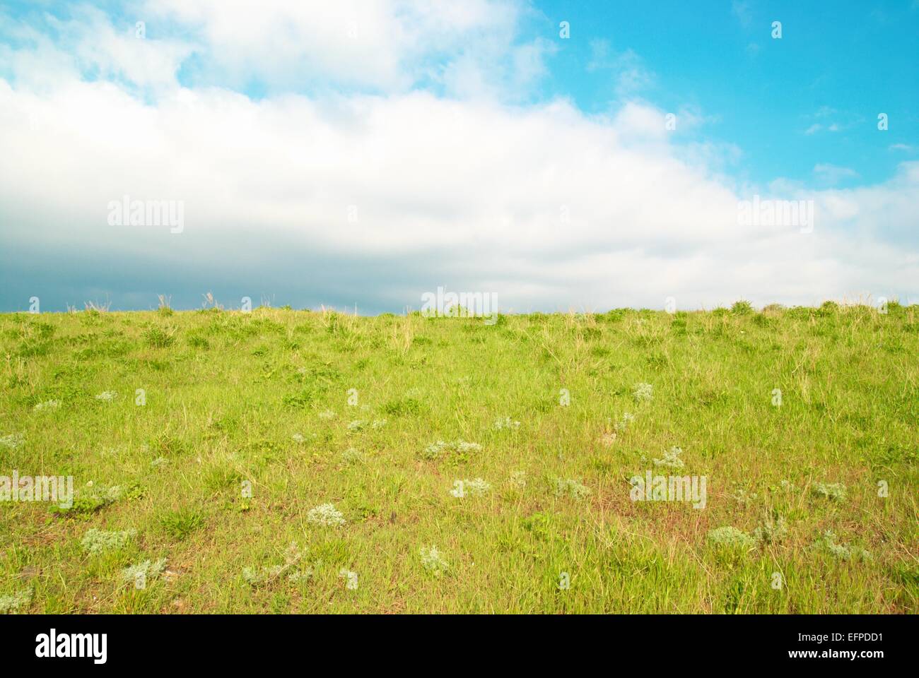 Green grass with blue sky and clouds Stock Photo - Alamy