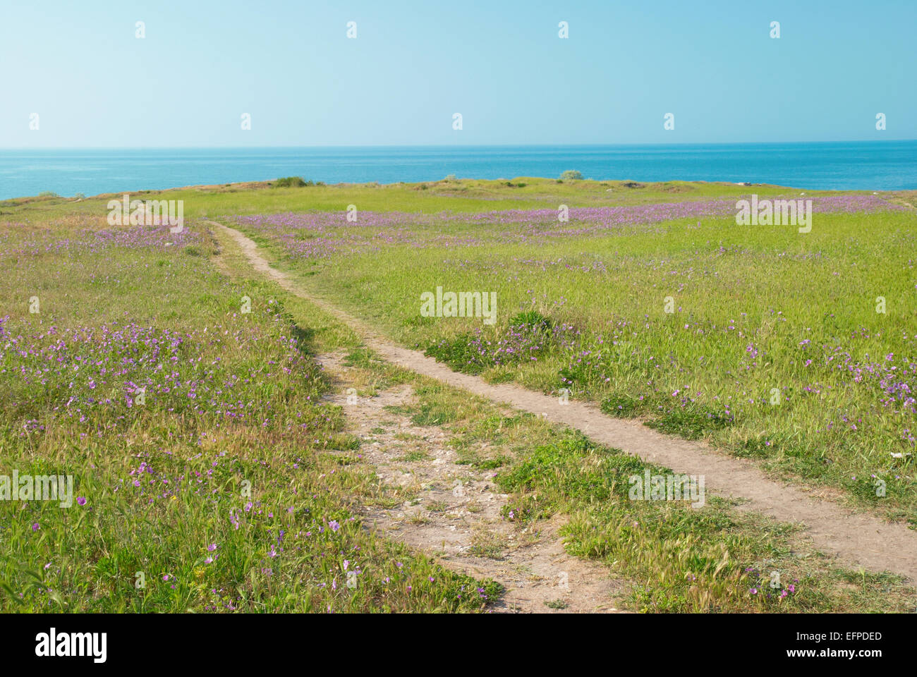 Green grass with blue sky and clouds Stock Photo - Alamy