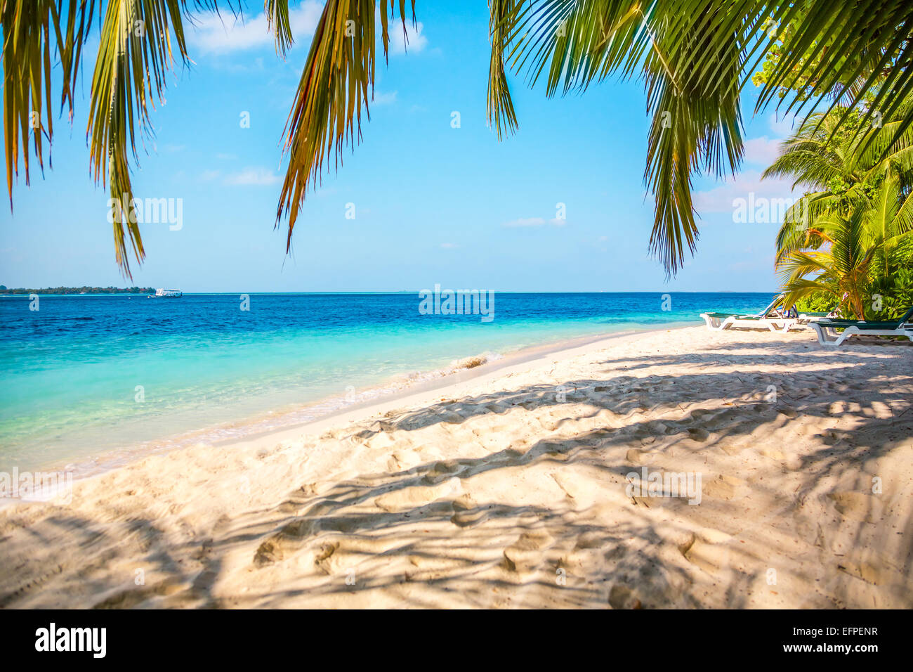 Sandy beach in the Maldives on a sunny day Stock Photo
