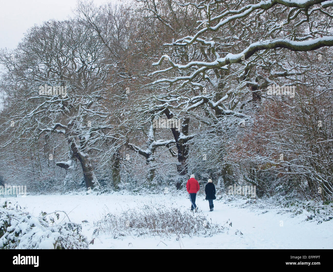Hampstead Heath in snow, London, England, United Kingdom, Europe Stock Photo