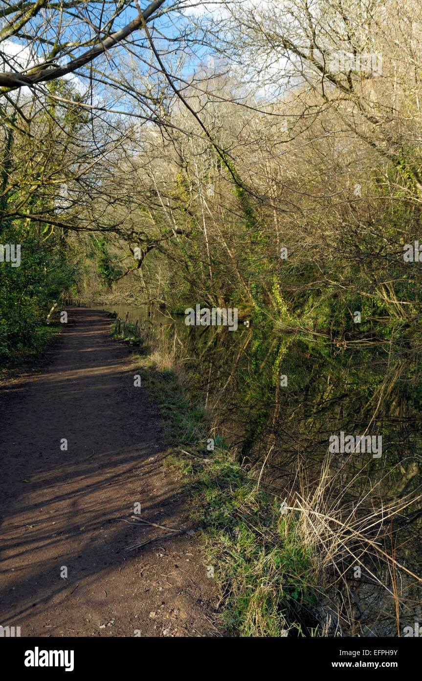 Glamorgan Canal Nature Reserve, Whitchurch Cardiff, South Wales, UK. Stock Photo