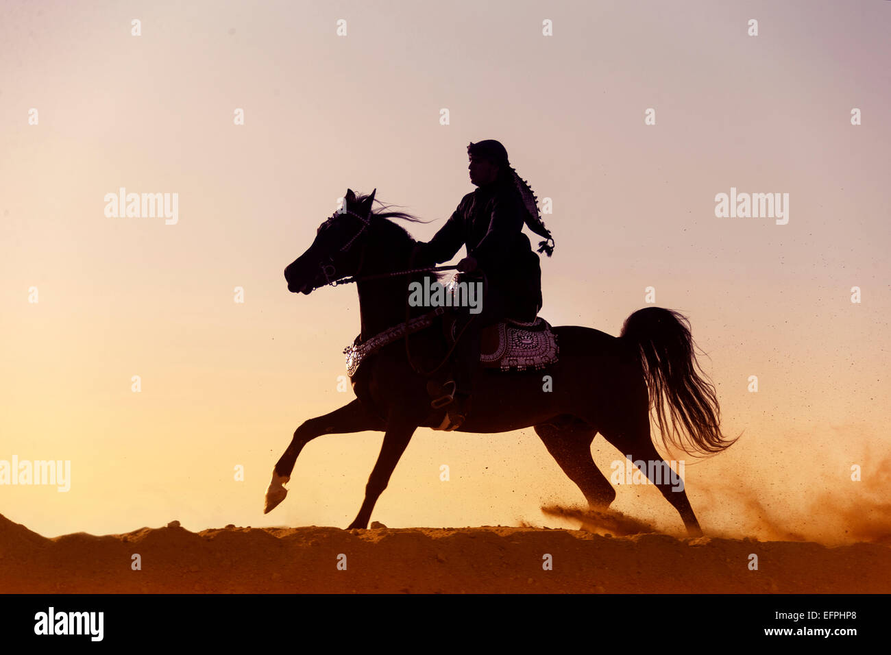 Arabian Horse Rider traditional dress bay stallion galloping the desert