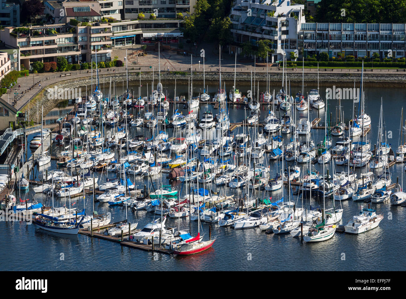 Aerial view, marina, False Creek, Vancouver, British Columbia, Canada, North America Stock Photo