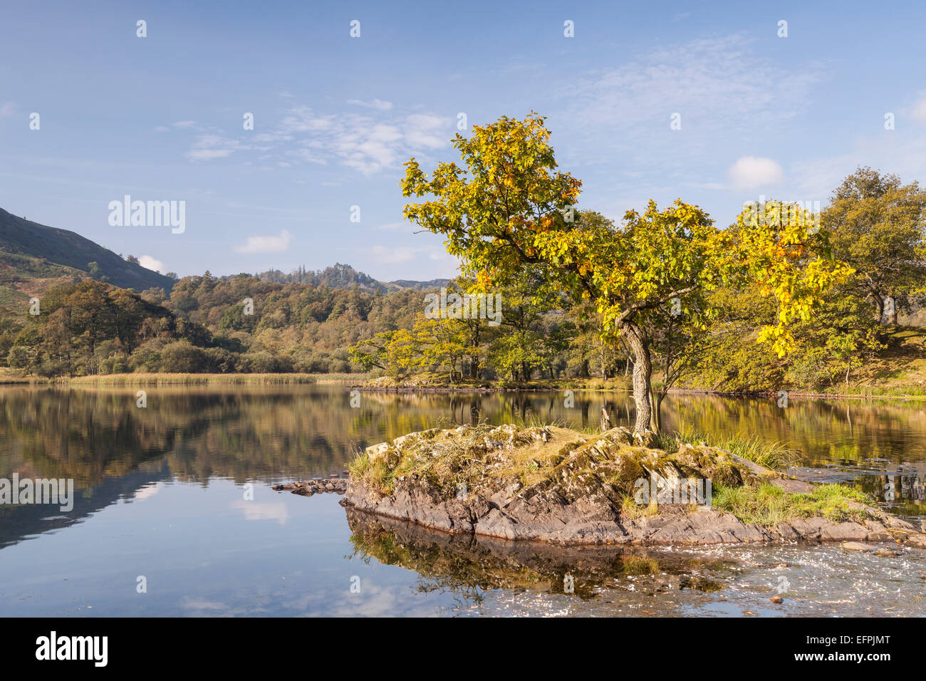 The still water of Rydal Water in the Lake District National Park, Cumbria, England, United Kingdom, Europe Stock Photo