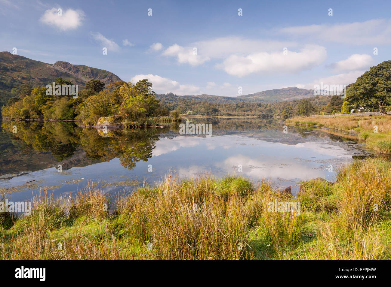 The still water of Rydal Water in the Lake District National Park, Cumbria, England, United Kingdom, Europe Stock Photo