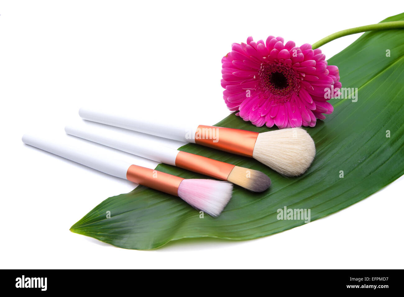 Makeup Brushes on green leaf with flower Stock Photo