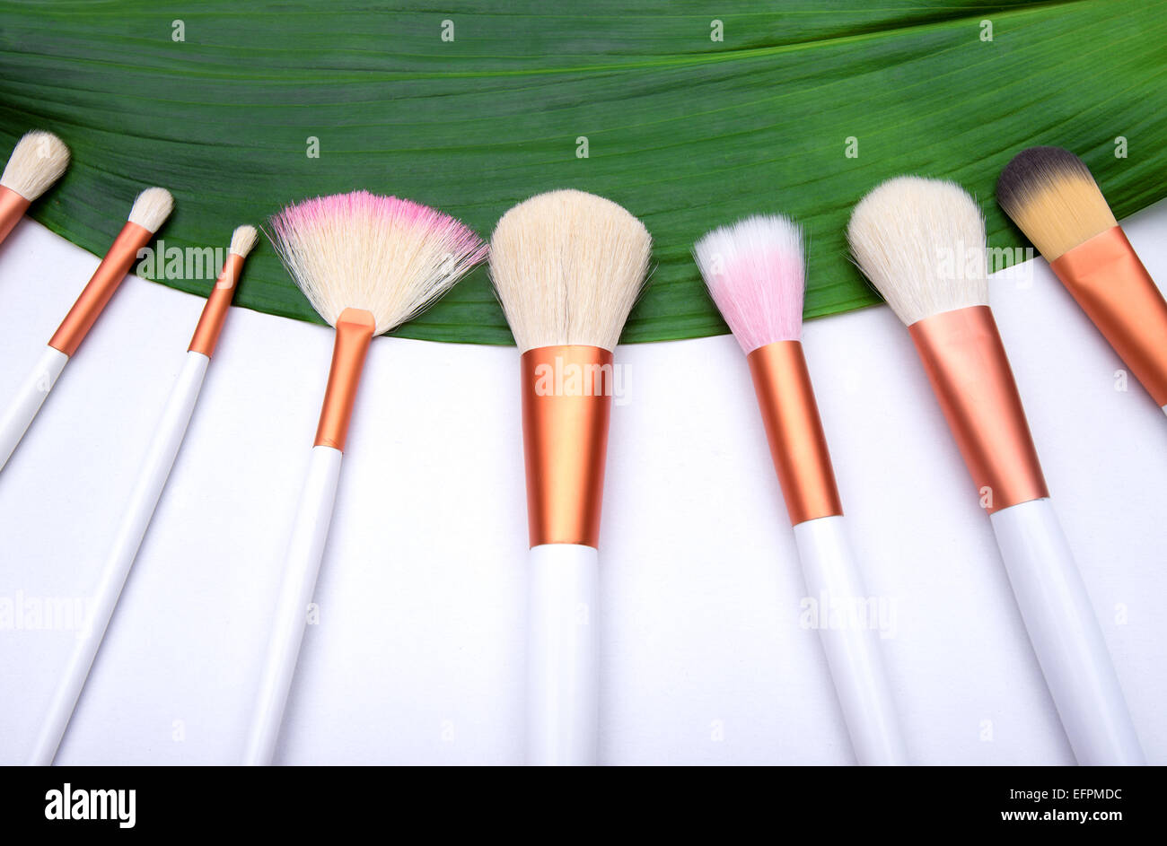 Makeup Brushes on green leaf Stock Photo