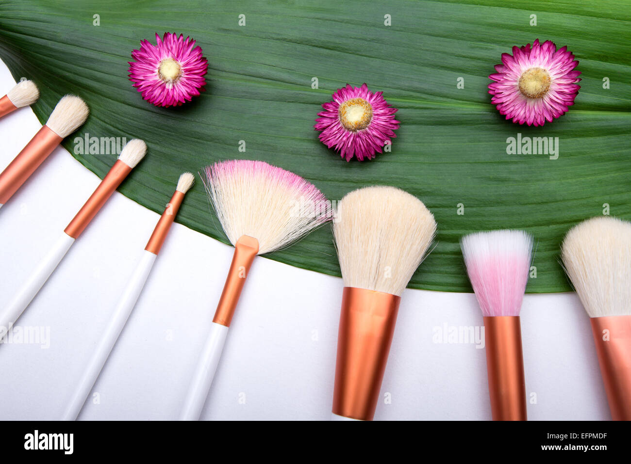 Makeup Brushes on green leaf with small flowers Stock Photo