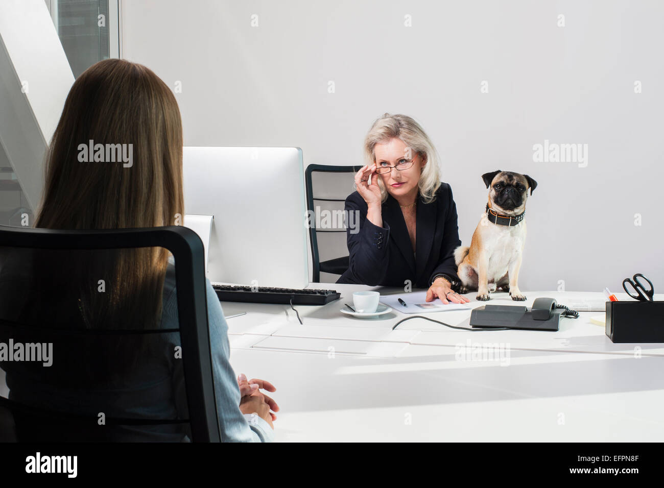 Female manager with dog interviewing woman Stock Photo