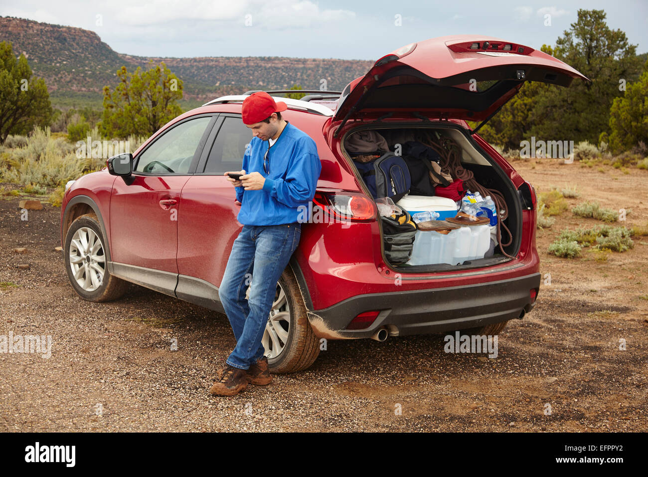 Man using smartphone beside car, Zion, Utah, USA Stock Photo