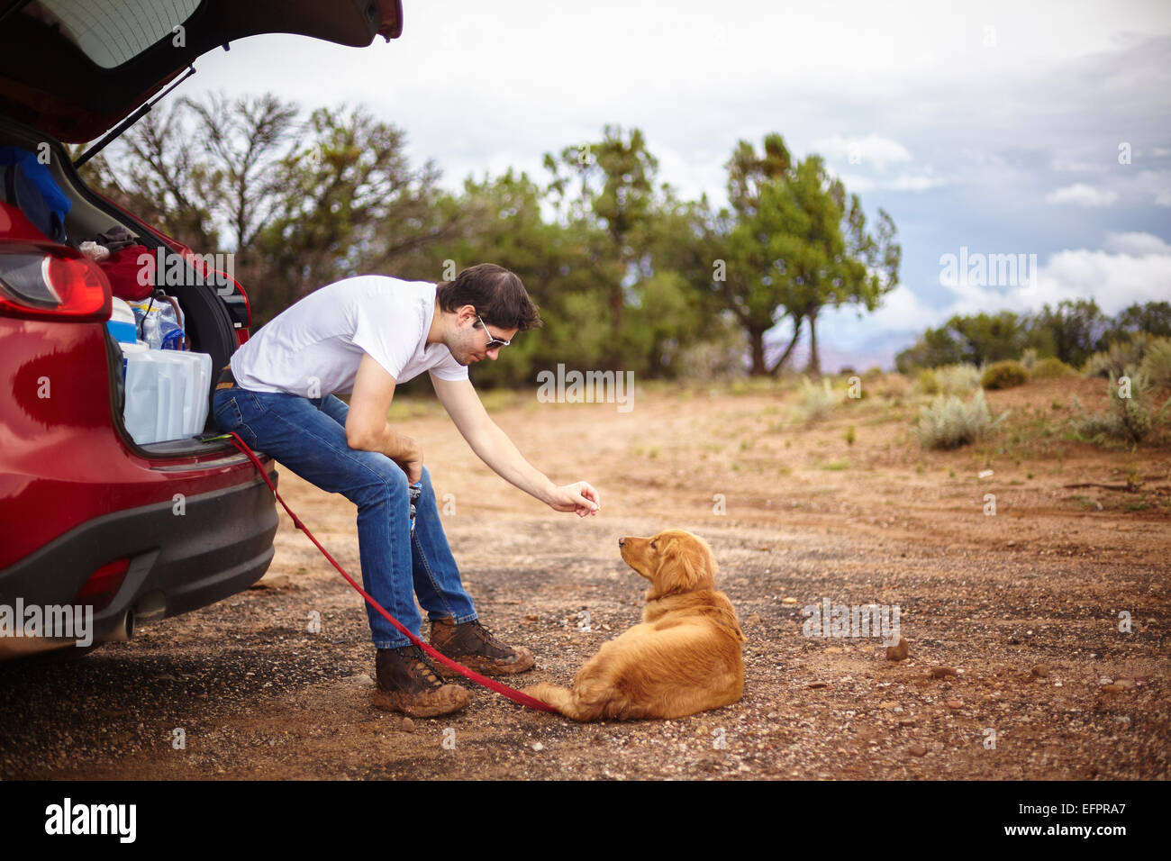 Man playing with dog behind car, Zion, Utah, USA Stock Photo
