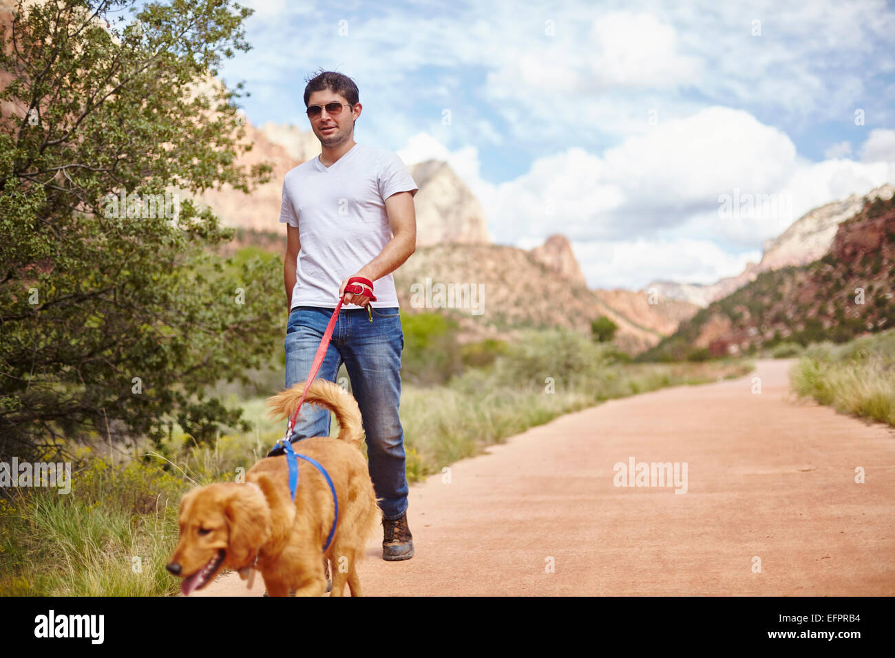 Man walking dog, Zion, Utah, USA Stock Photo Alamy