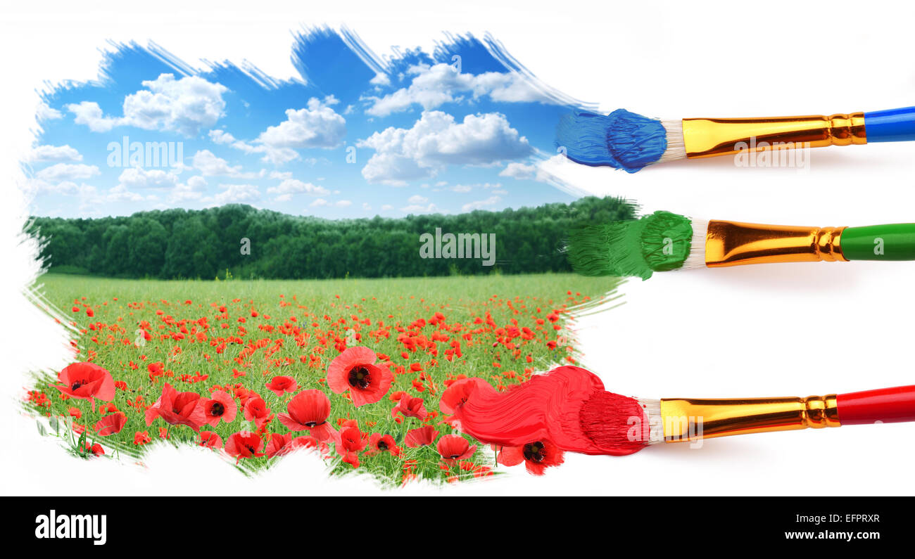 Three brushes paint a beautiful landscape with poppies. Stock Photo