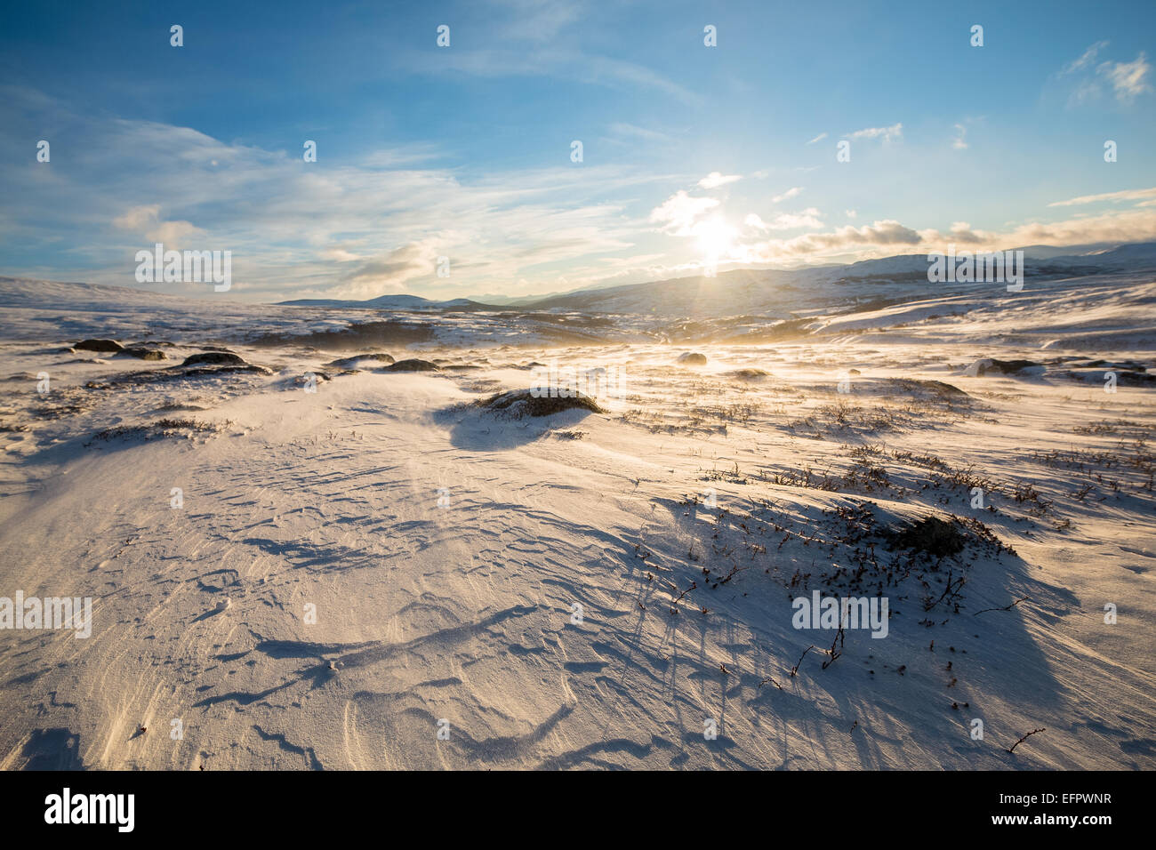 Snowscape, Dovrefjell–Sunndalsfjella National Park, Norway Stock Photo