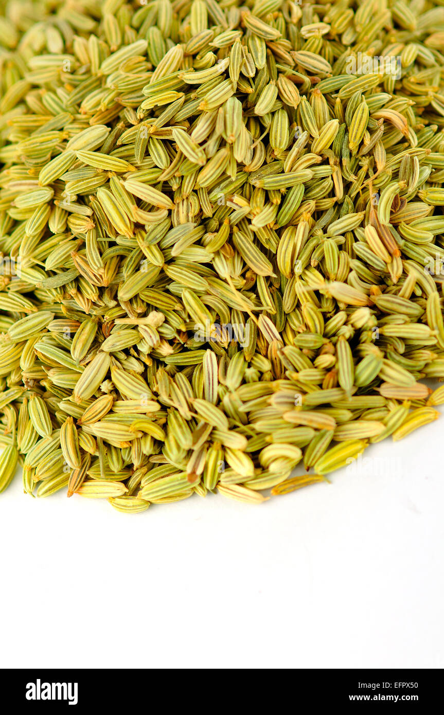 Bitter fennel hires stock photography and images Alamy