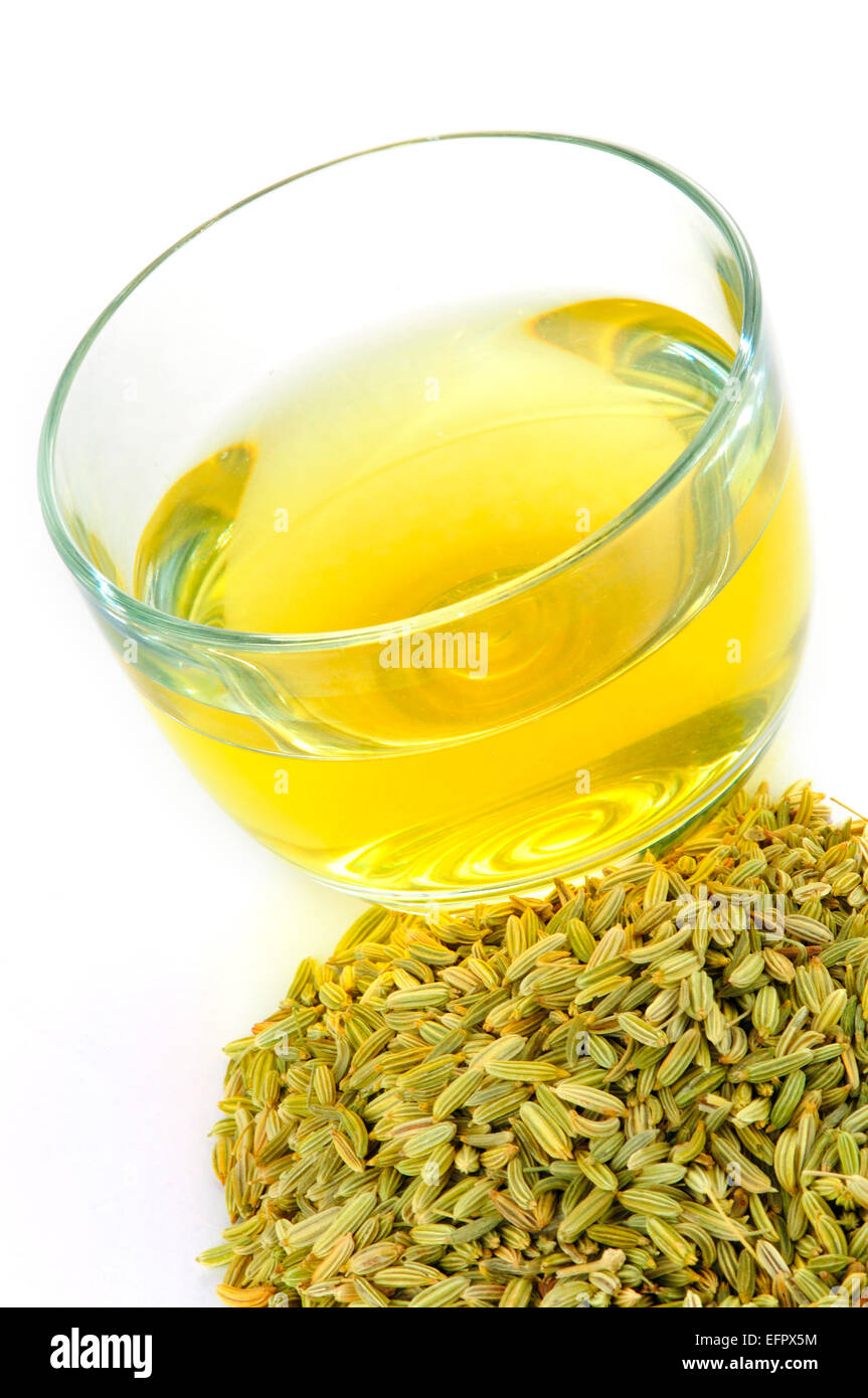 Bitter fennel hires stock photography and images Alamy