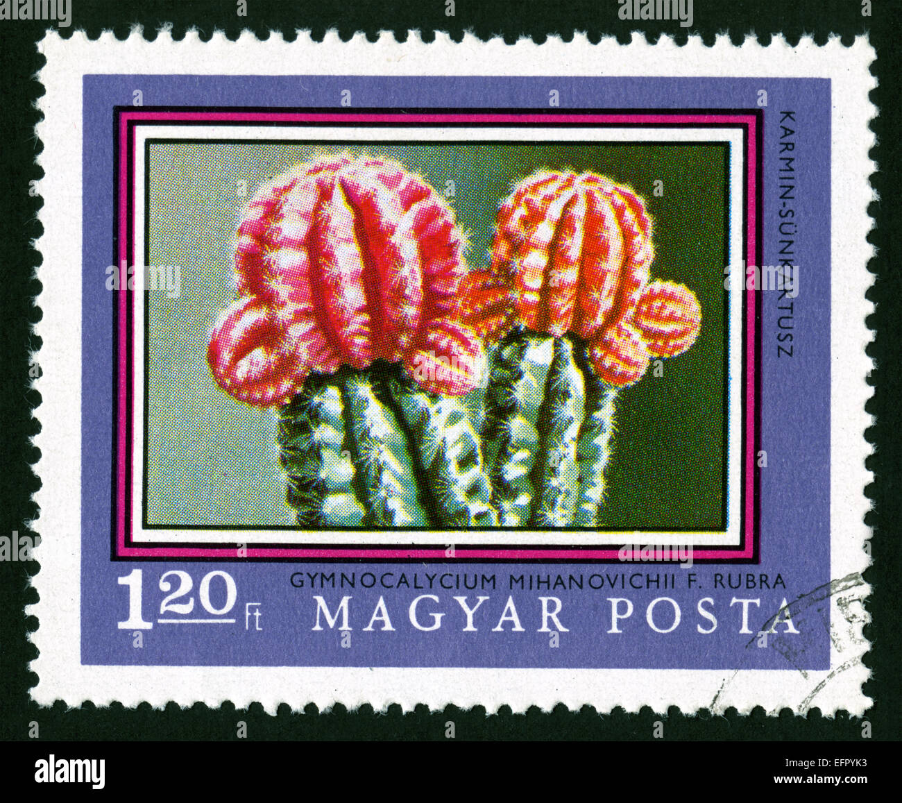 Hungary, post mark,stamp,postage stamps,flowers, plants, flora,flower