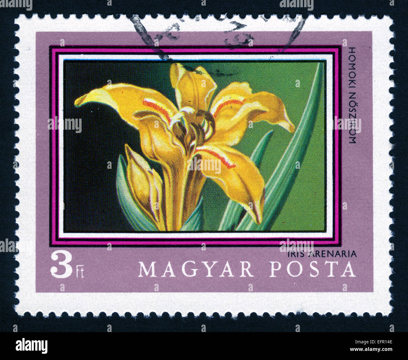 Hungary post mark postage stamp flowers plants hires stock photography
