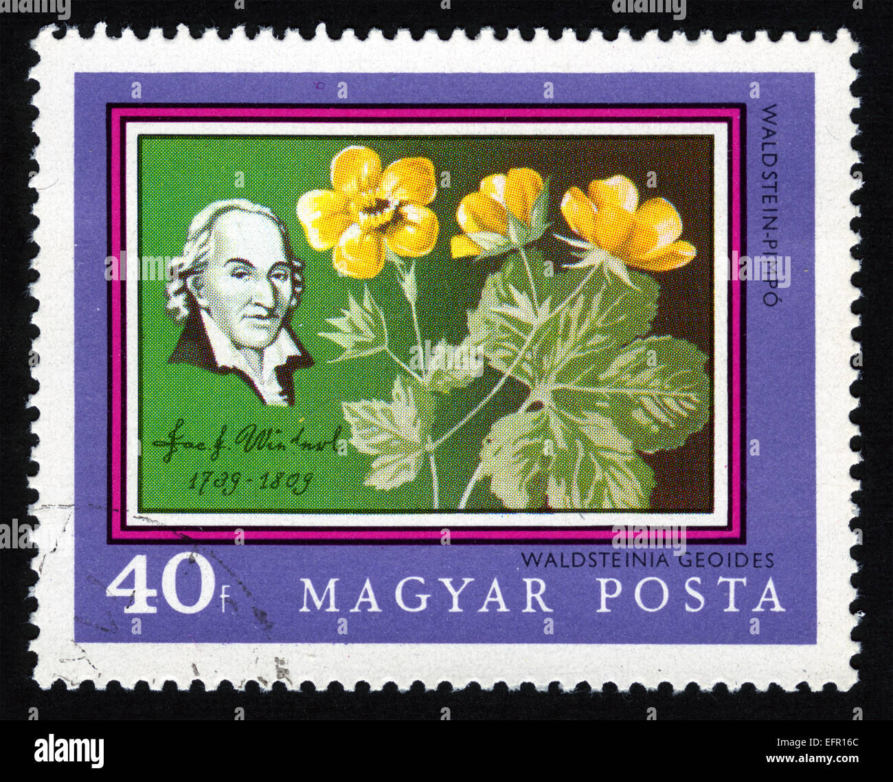Hungary, post mark,stamp,postage stamps,flowers, plants, flora,flower