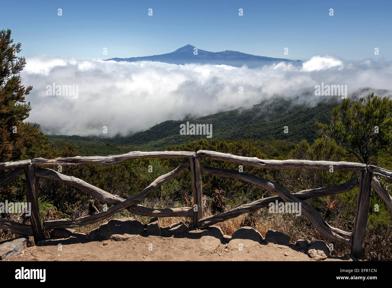 View from below the Garajonay onto Bosque del Cedro, Passat clouds and Mount Teide on Tenerife, La Gomera, Canary Islands, Spain Stock Photo