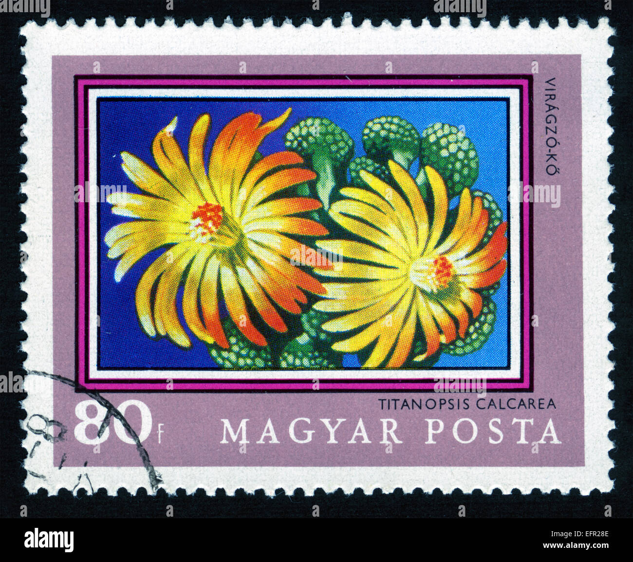 Hungary, post mark,stamp,postage stamps,flowers, plants, flora,flower