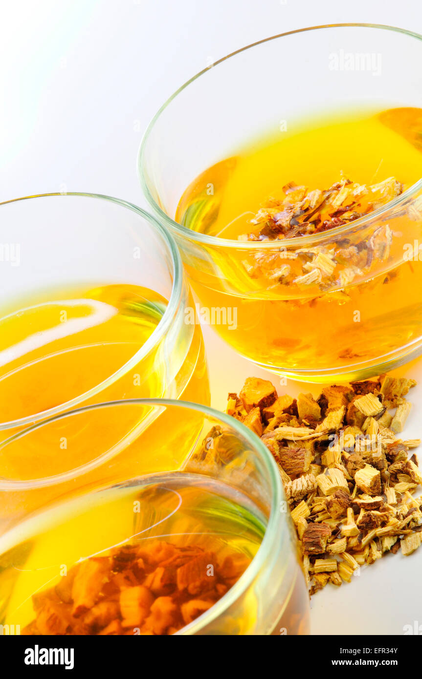 Medicinal Herbtea of the Medicinal Plant Licorice, Glycyrrhiza Glabra Stock Photo Alamy