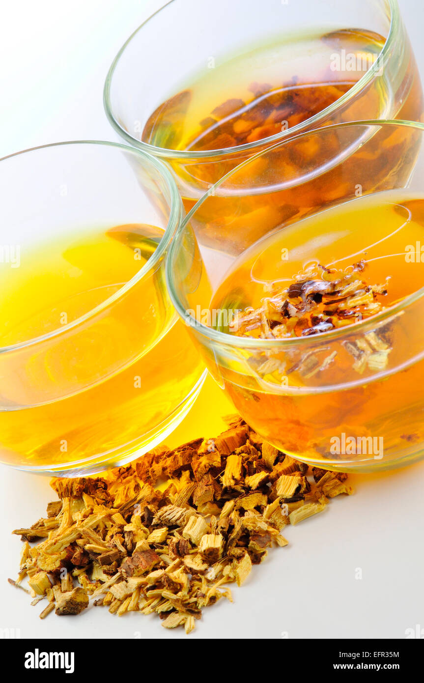 Medicinal Herbtea of the Medicinal Plant Licorice, Glycyrrhiza Glabra