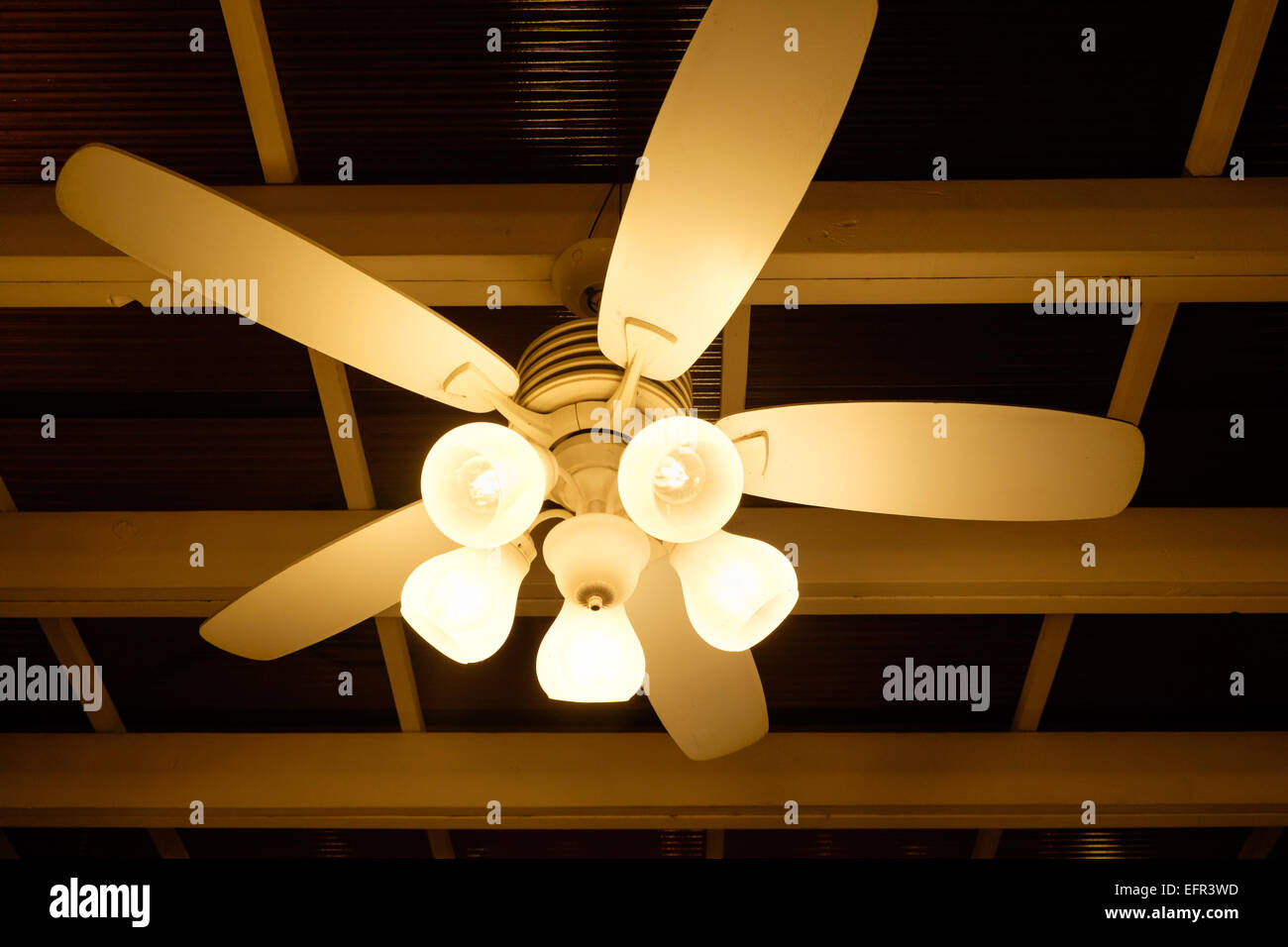 Ceiling Fan Stock Photo