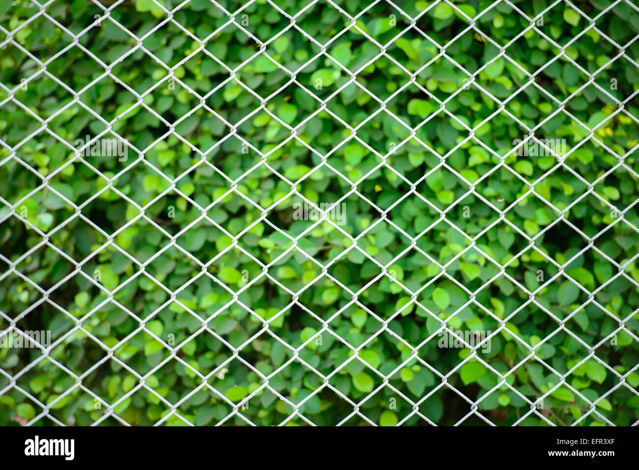 mesh fence Stock Photo