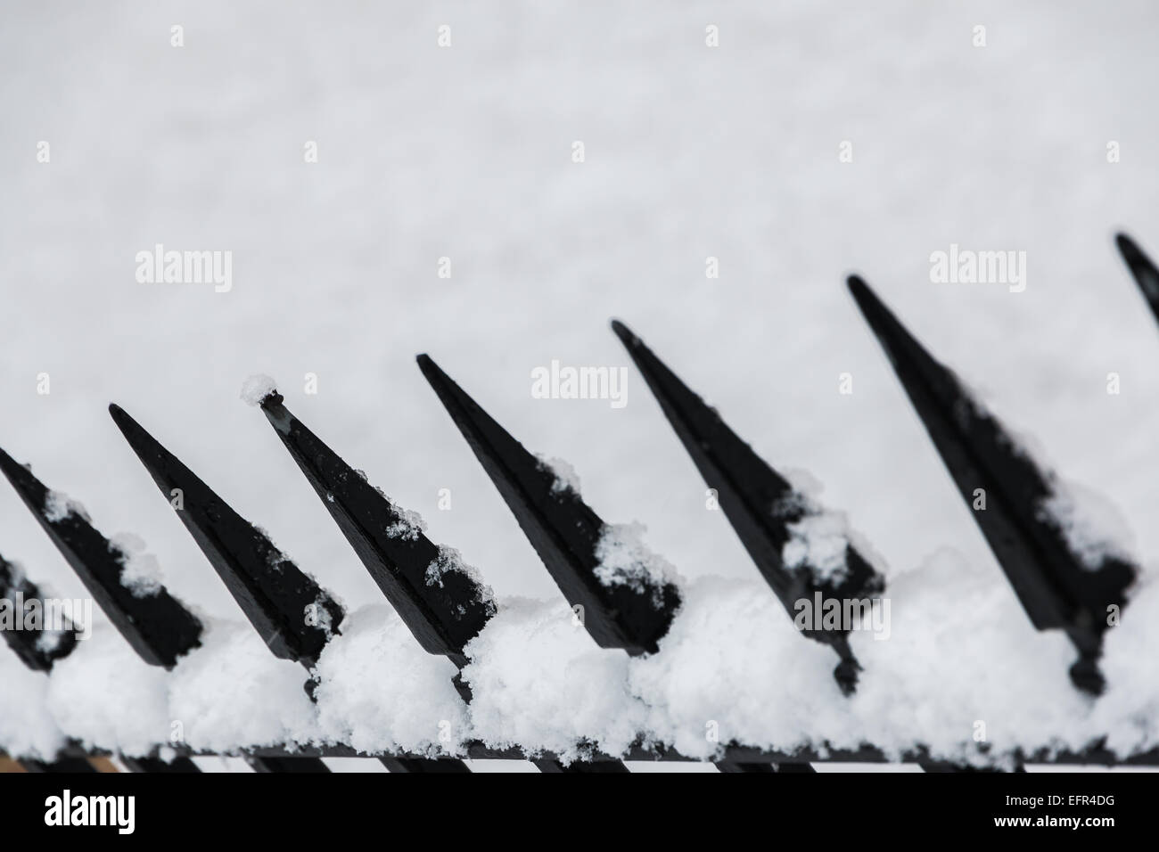 cluster of snow balanced on the sharpest point of the fence during snow ...