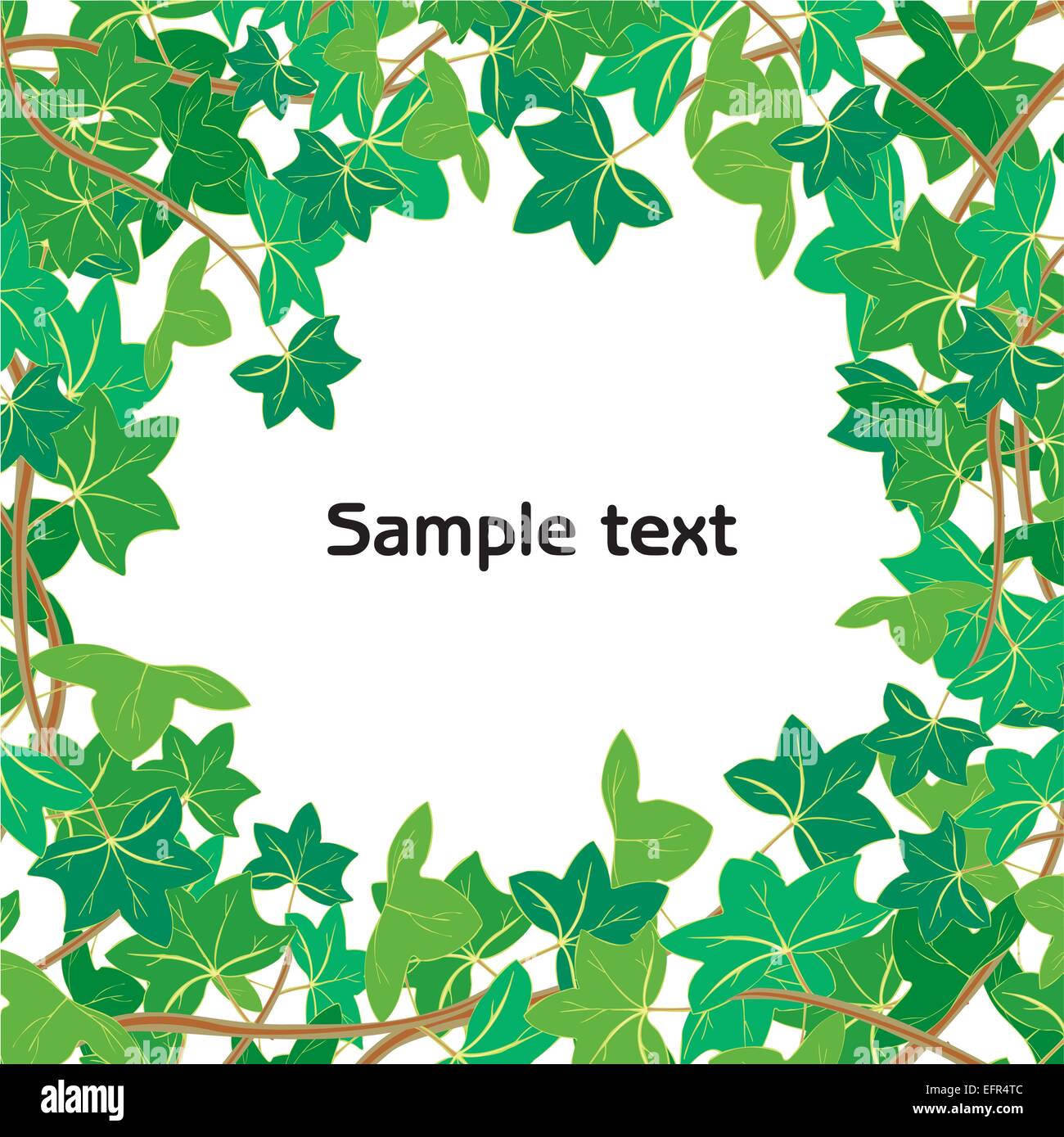 Vector illustration of Green ivy isolated on white background with ...