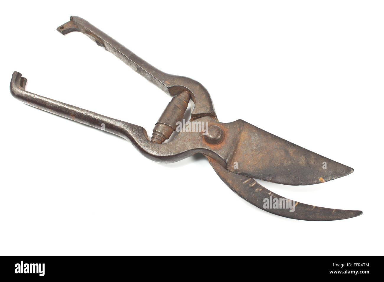 Old rusty garden pruning shear isolated on white Stock Photo