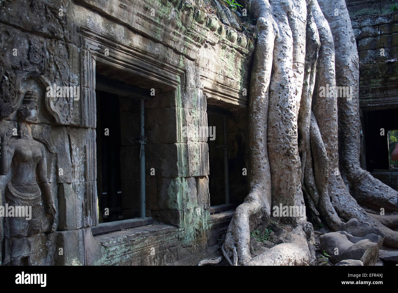 Lara Croft Tomb Raider Stock Photos Lara Croft Tomb Raider Stock