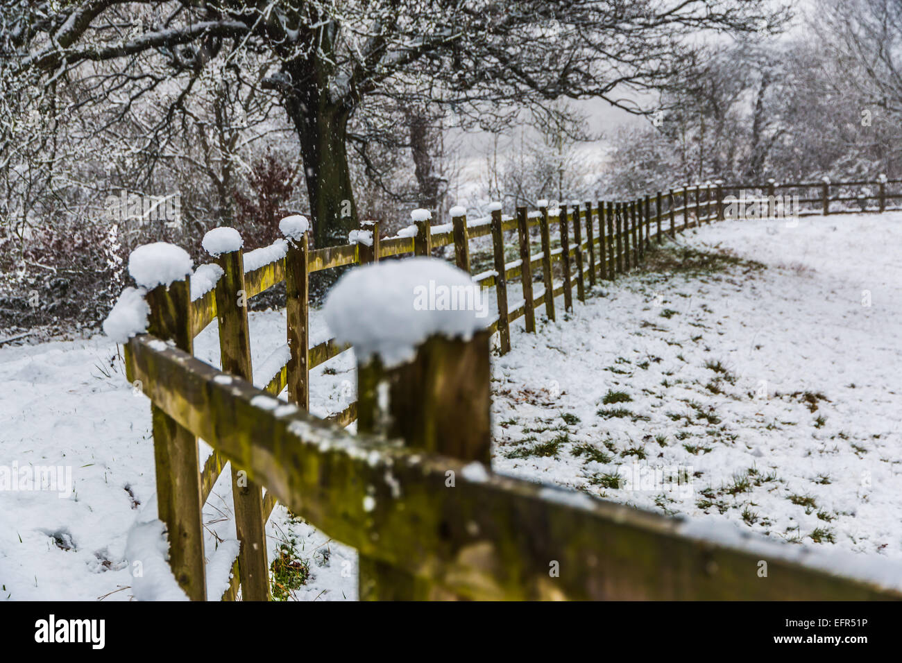 snow on the fence Stock Photo - Alamy