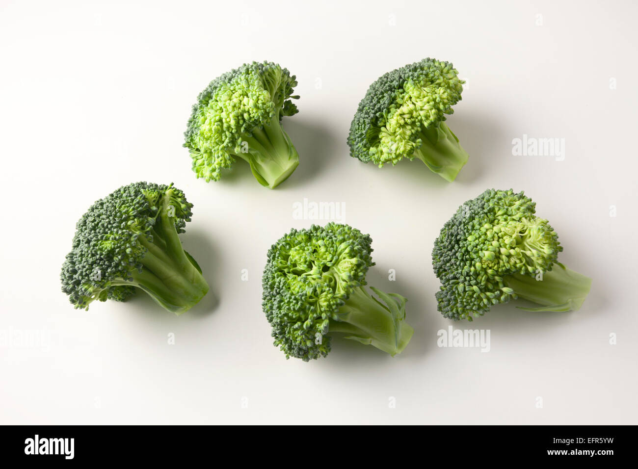 Five Broccoli Florets on a White Background Stock Photo