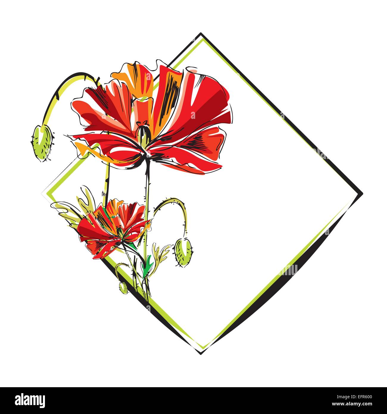 frame with poppy flower vector illustration Stock Vector Image & Art ...