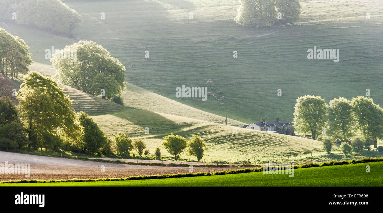 Hazy early morning sunshine over farmland and rolling countryside in Wiltshire. Stock Photo