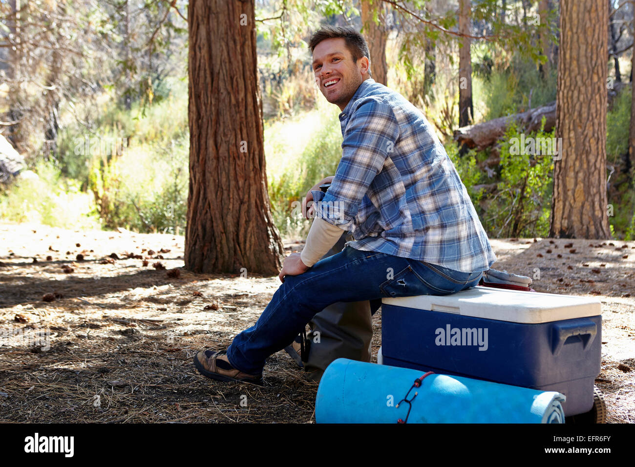 Young man in forest sitting on cool box, Los Angeles, California, USA Stock Photo