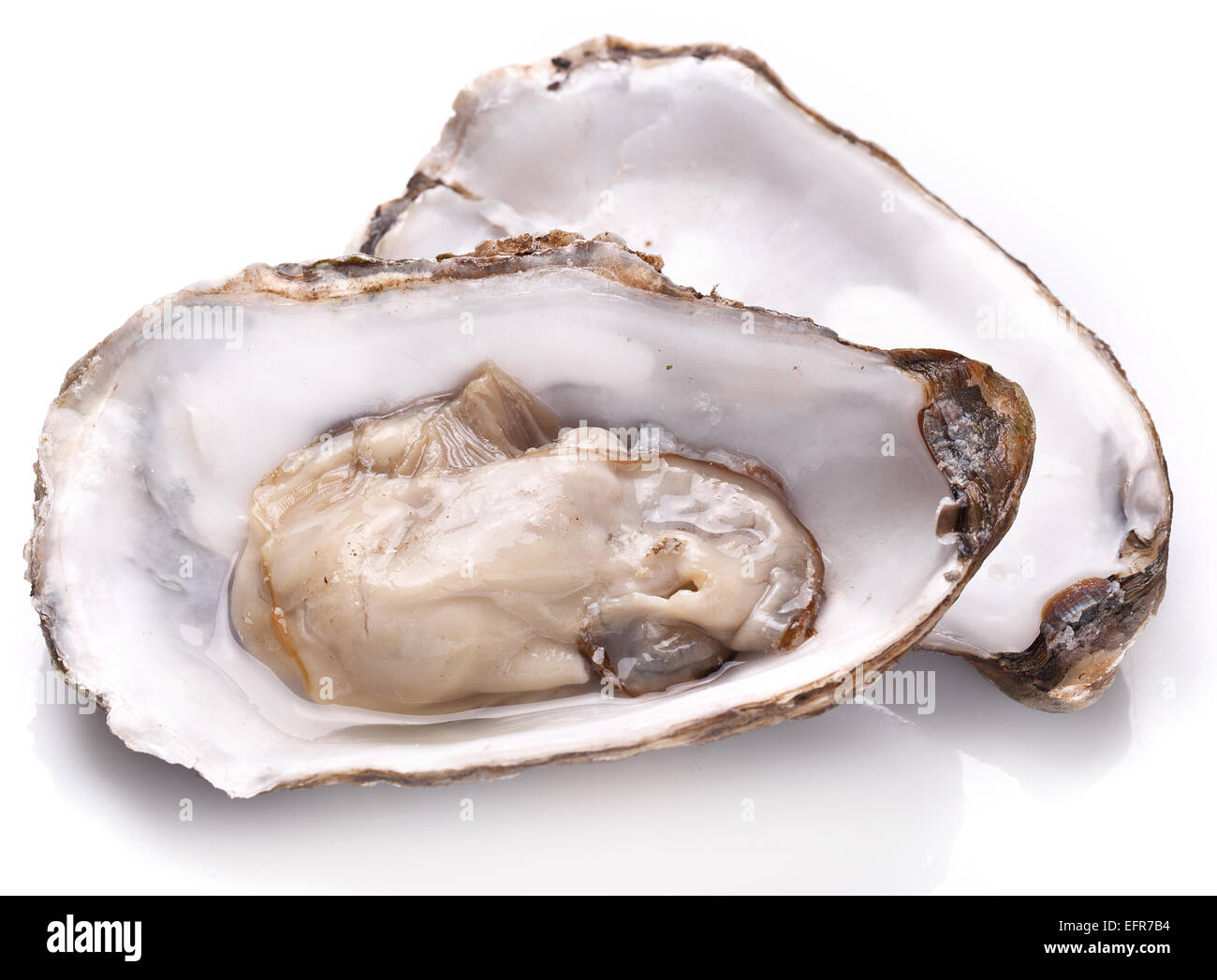 Raw oyster on a white background. Stock Photo