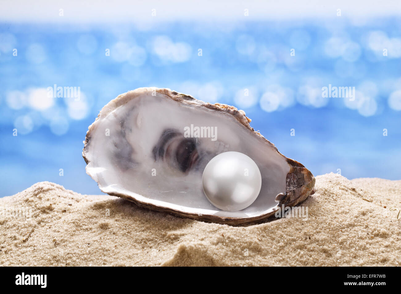 Sea Shell with Real Pearls, Macro Shot Stock Photo - Image of rare